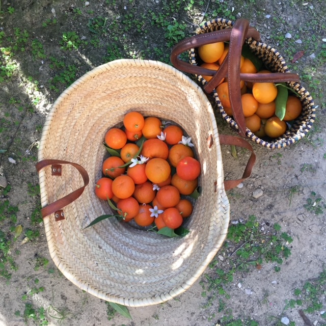 homemade marmalade