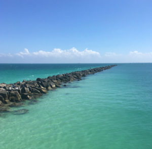 Rejuvenate at Miami South Beach through organic food, spa, yoga and the ocean
