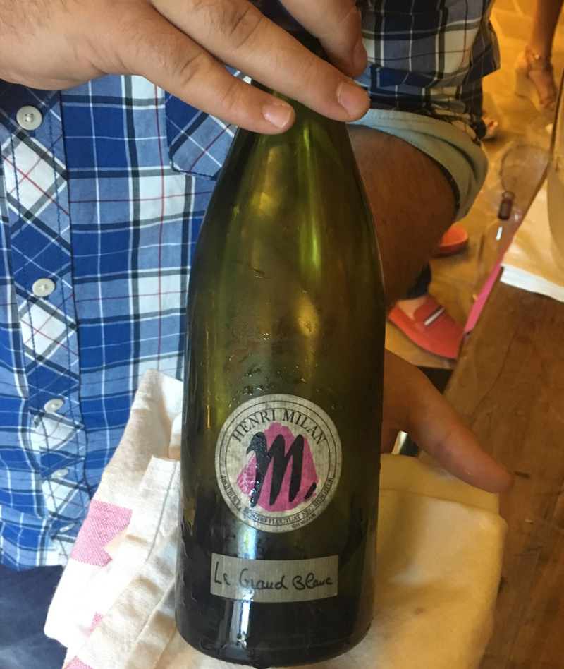 Henri Milan naturally better wine in Provence La Muse Blue