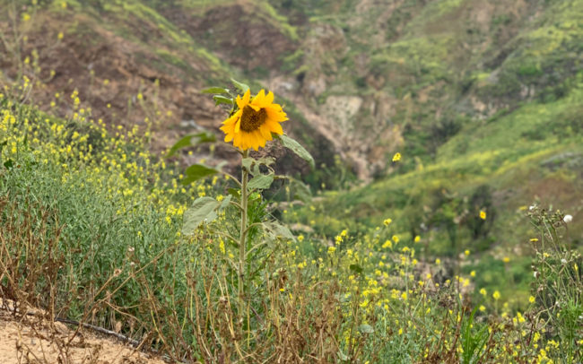 Malibu hiking trails