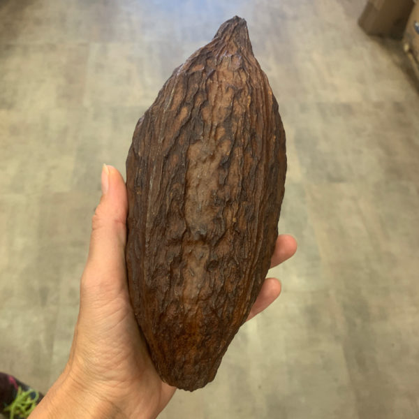 artisan chocolate