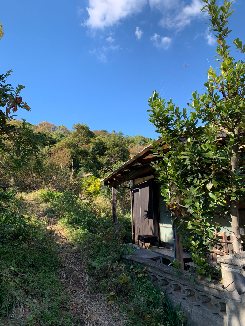 best lunch on Naoshima