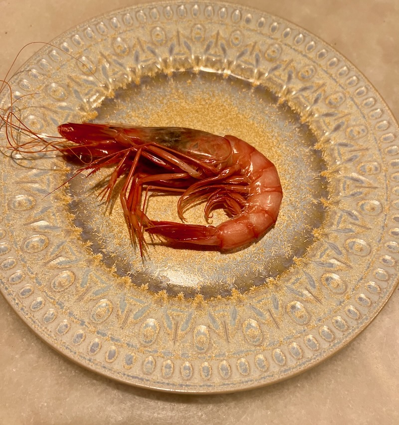 Spanish prawn